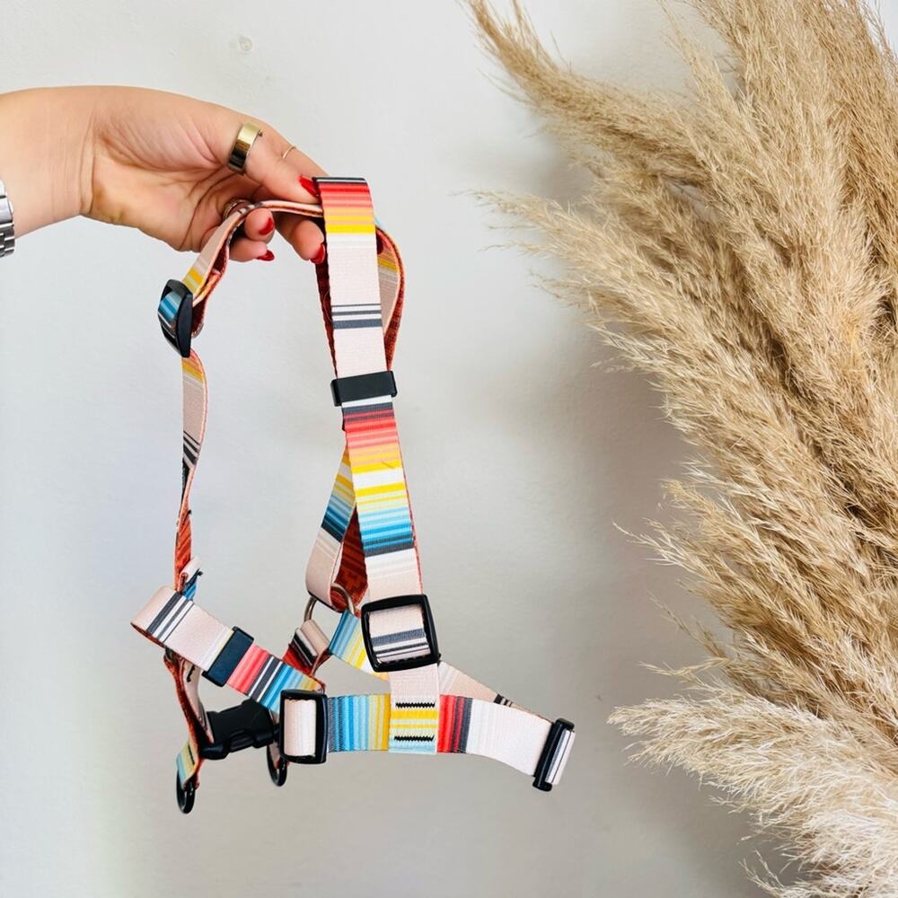 NEW LEEDS Califia Cream Orange Stripe Buckle Dog Collar Step In Harness $85 Set - Picture 12 of 13